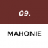 09 Mahonie